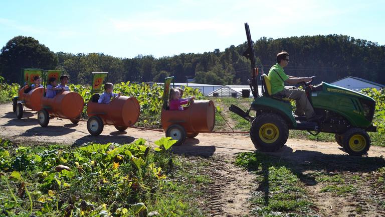 Children on the Pumpkin Express Ride at Homestead Gardens during Fall Fest