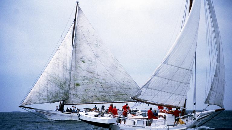 Skipjack Race