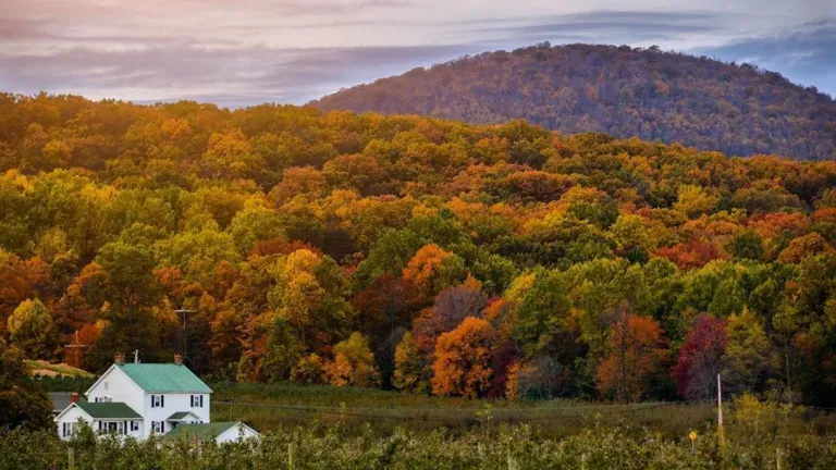 Catoctin Mountains