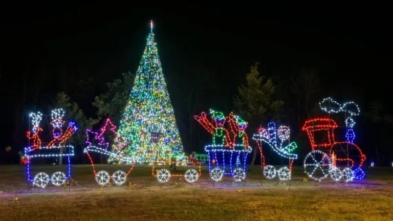 Festival of Lights