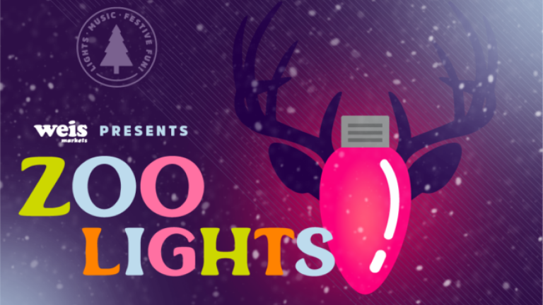 Weis Presents ZOO LIGHTS logo