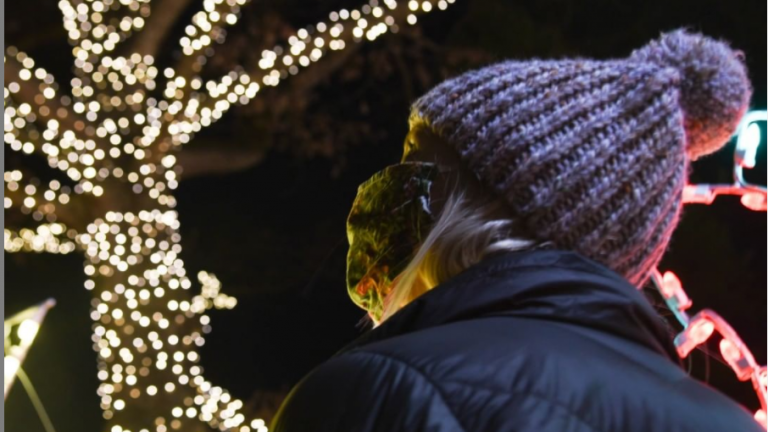 Zoo Lights