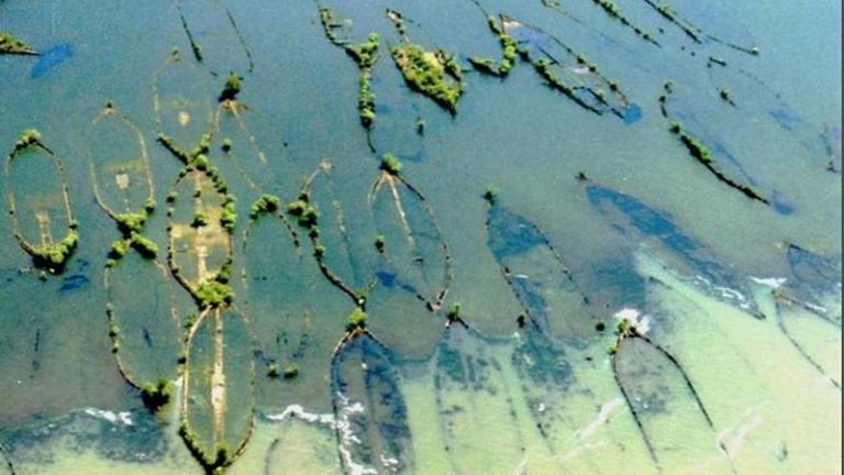 Mallows Bay Ghost Fleet from Above