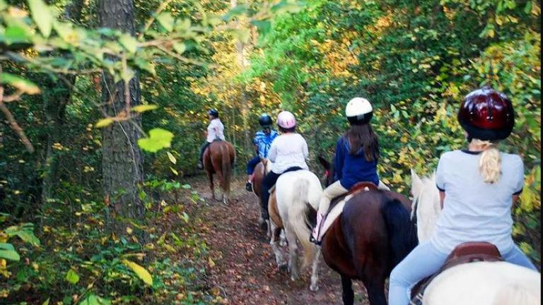 Horse back riding lessons