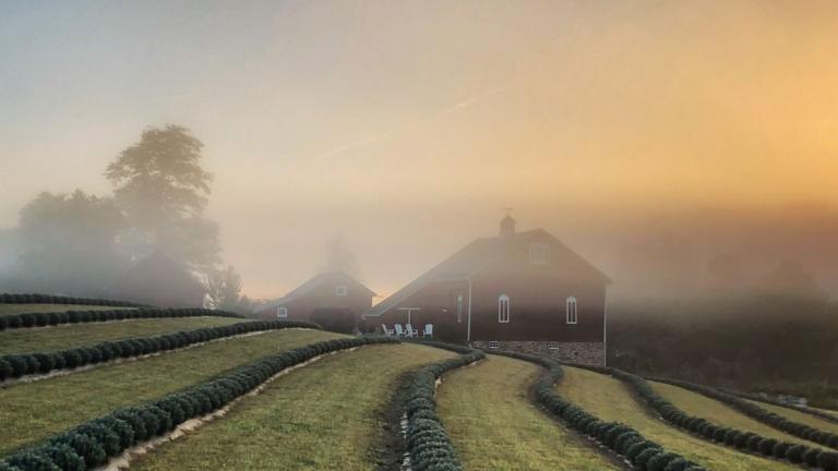 Star Bright Farm in fog