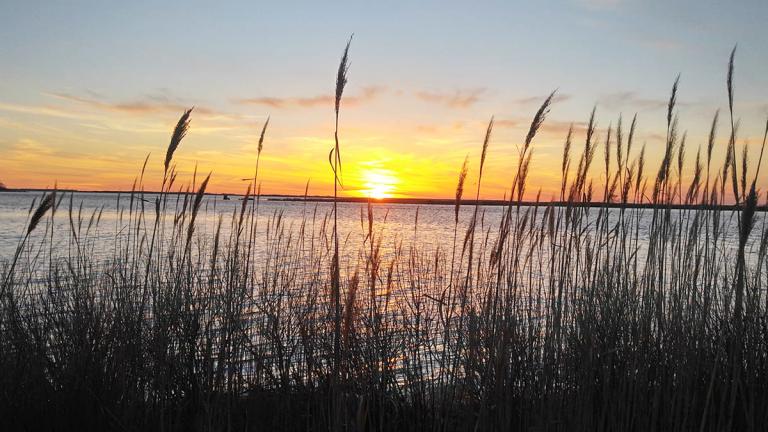 Eastern Neck Wildlife Refuge