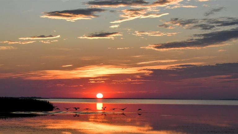 Eastern Neck National Wildlife Refuge