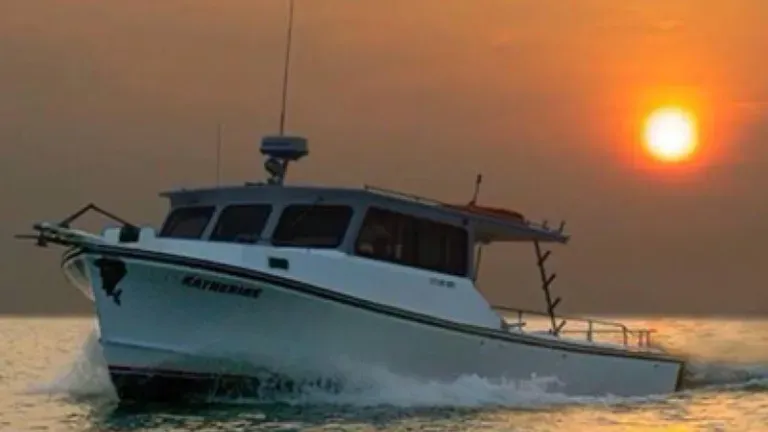 Katherine Charter