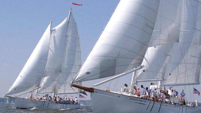 Schooners Woodwind and Woodwind II racing each other during the Wednesday Night Races.