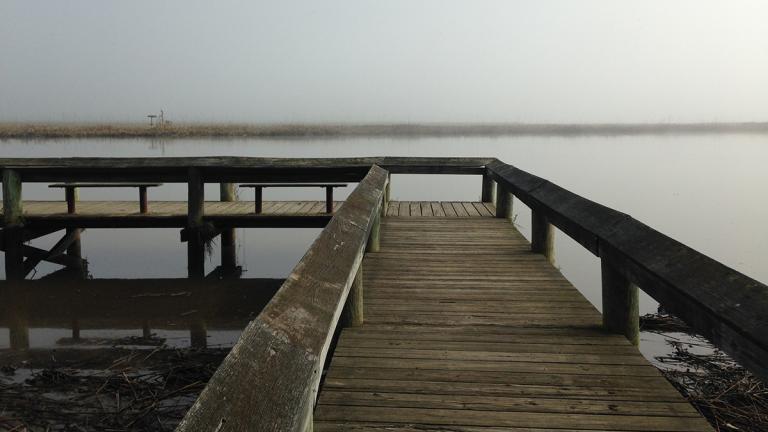 Jackson's Landing at Patuxent River Park