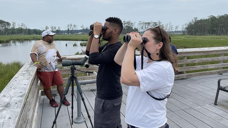 Delmarva Birding Group looking for birds