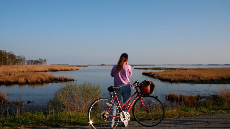 A young lady cycling the Blackwater Wildlife Refuge in Cambridge