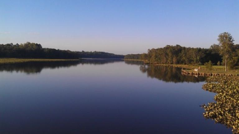 Marshyhope Creek