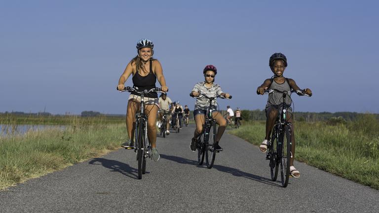 Experience the wild landscapes that were Harriet Tubman’s homeland on a trip through Wildlife Drive in Blackwater National Wildlife Refuge.