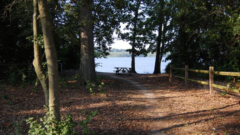 Launch your kayak from this peaceful waterfront landing at Gilpins Point, and imagine it as a once busy steamboat port that provided opportunities for escape.