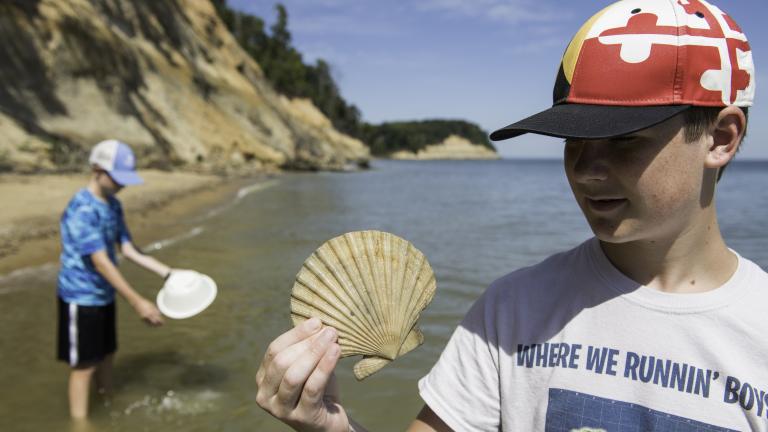 Calvert Cliffs State Park - Boy finds a shell