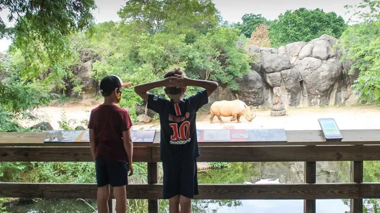 Two boys admiring the rinos at the Maryland Zoo in Baltimore City