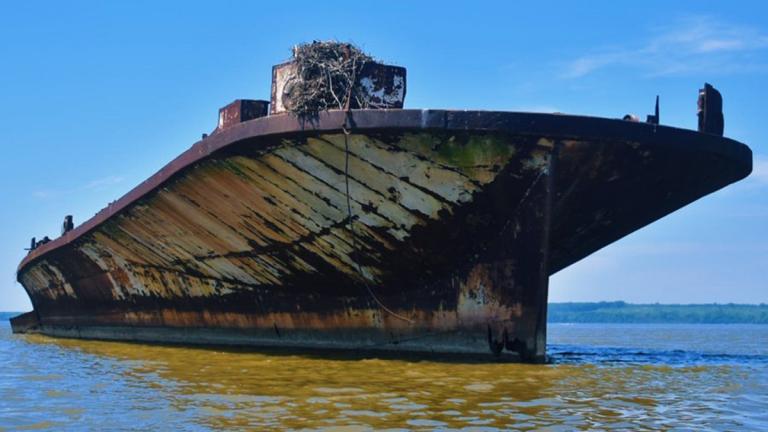 A shipwreck from the Ghost Fleet of Mallows Bay in Charles County