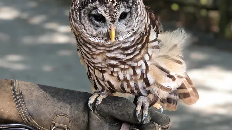 Salisbury Zoo in Wicomico County