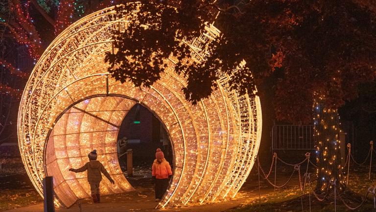 Winter City Lights Holiday Festival