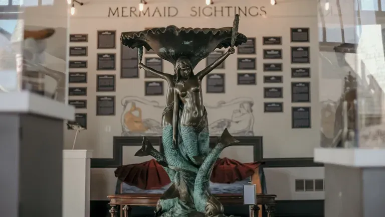 The Mermaid Museum in Worcester County