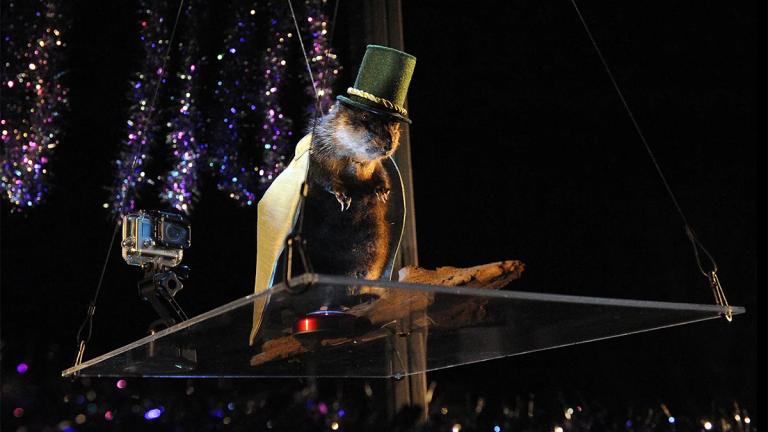 Princess Anne New Year's Eve Muskrat Dive