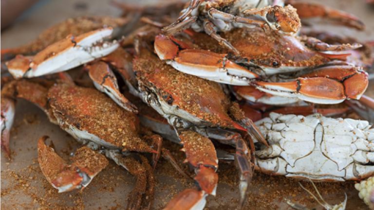 Picture of a pile of crabs at Waterman's Restaurant