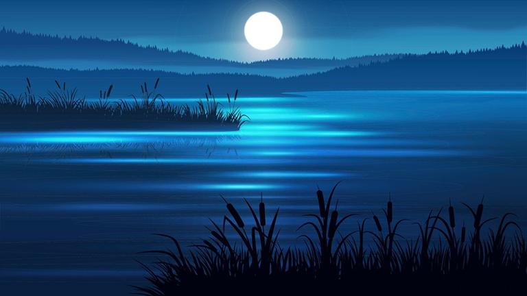 Chesapeake by night
