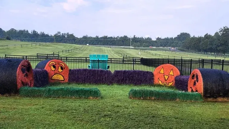 Farm Activities - Montpelier Farms