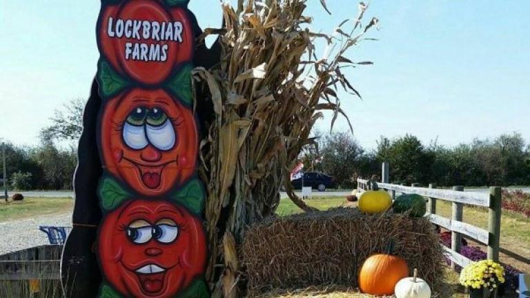 Lockbriar Farms