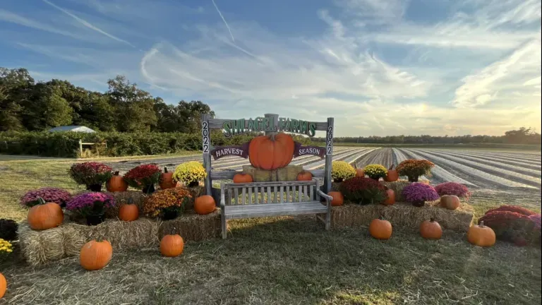 Shlagel Farms