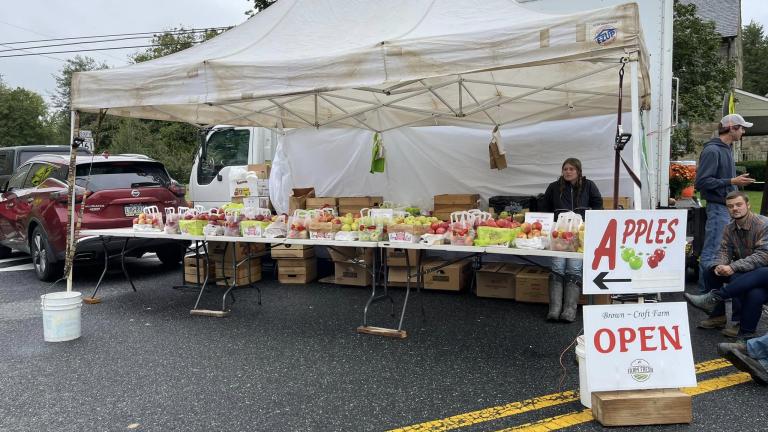 Darlington apple festival