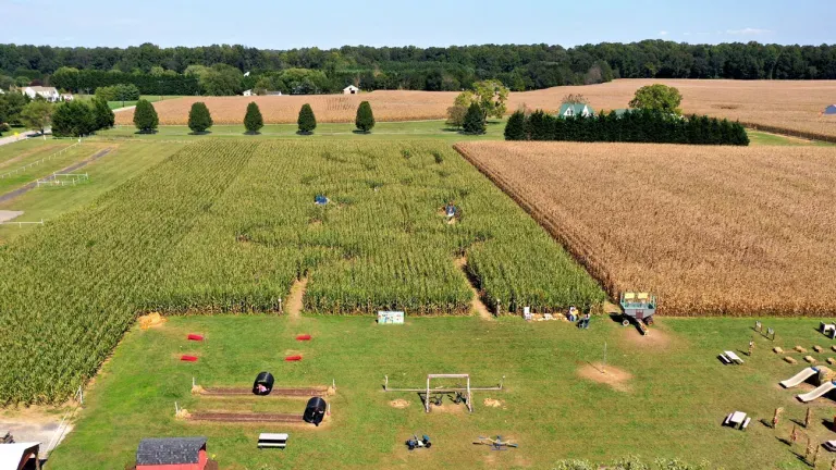 Councell Farms’ Field Of Fun