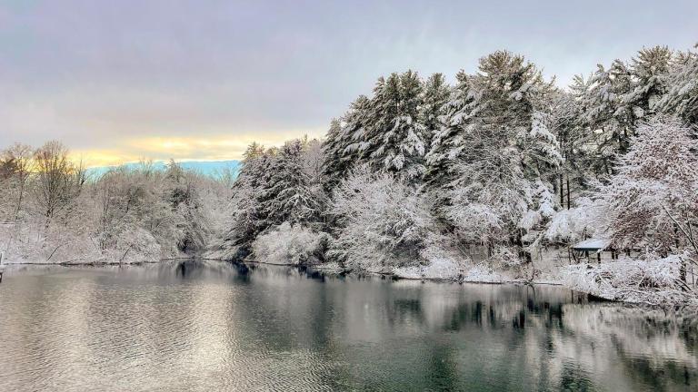Winter on the water in Guilford Park