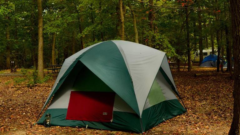 A tent set up on a campsite at the Greenbelt Park