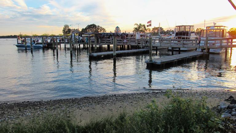 Kent Narrows, Big Owls at Sunset