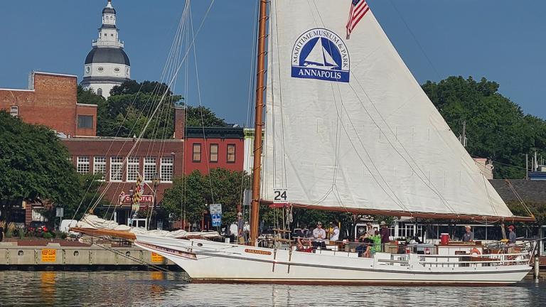Annapolis City Dock with Skipjack Wilma Lee