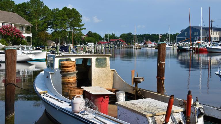 St. Michaels Harbor