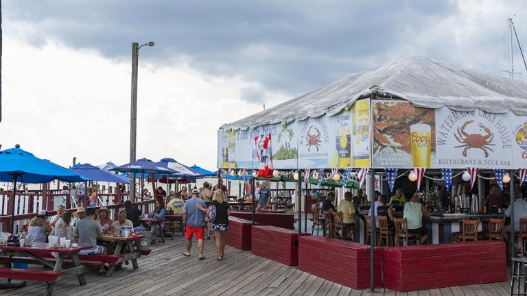 Crabs At Waterman’s Crab House, Rock Hall