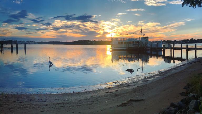 Chester river packet with a blue heron at sunset