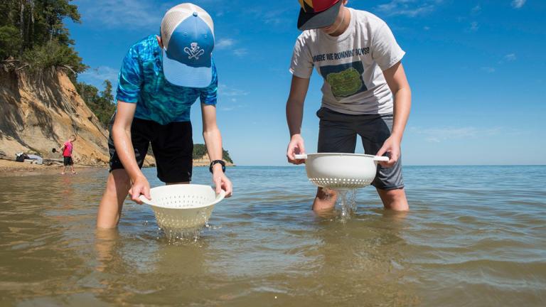 Boys sifting for sharks teeth and fossils at Calvert Cliffs State Park Beach