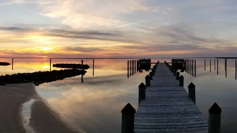 The Pier at Wellington Beach