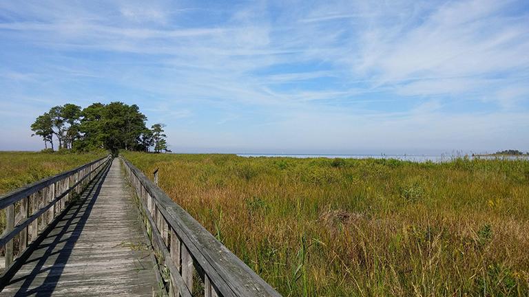 Eastern Neck National Wildlife Refuge
