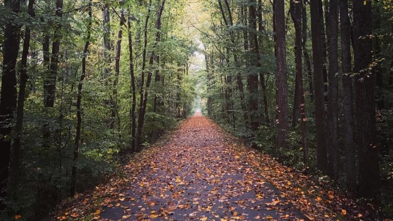 Three Notch Trail