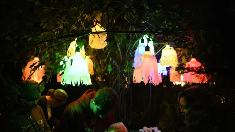 Ladew Garden Glow