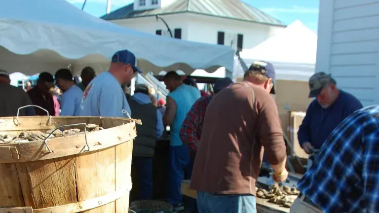 Oyster Festival in Annapolis