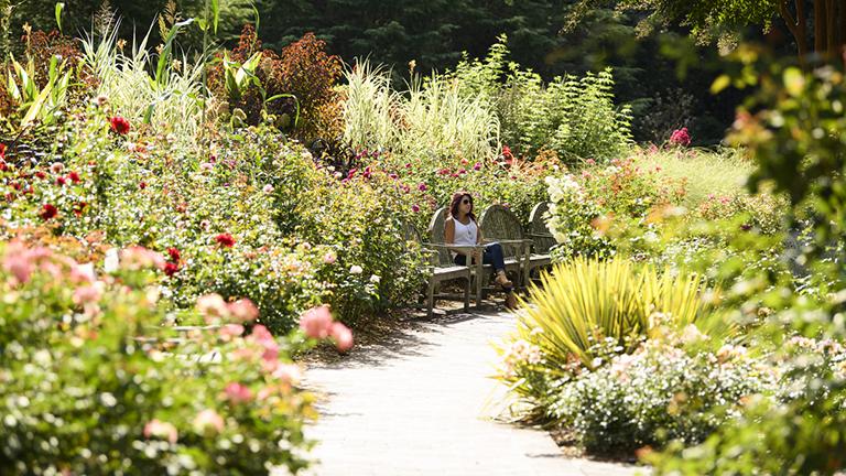 Brookside Gardens Pathway with Visitors