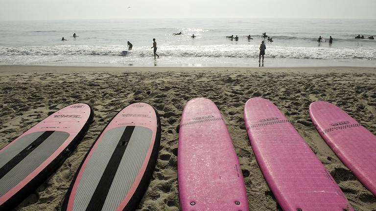 Surfboards on Ocean City beach
