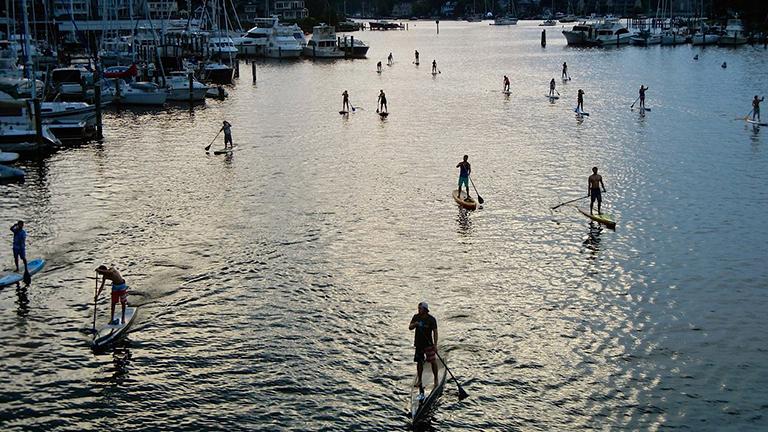 Paddleboarding in Spa Creek