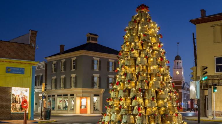 Christmas Holidays in Cambridge